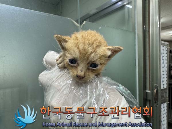 한국동물구조관리협회_441404202400416