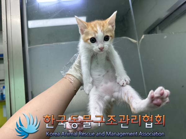 한국동물구조관리협회_441406202401361