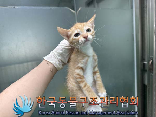 종료(자연사) 한국…