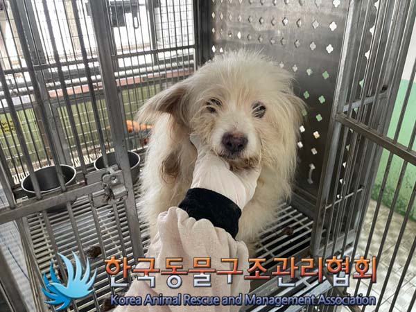 한국동물구조관리협회_441560202400970