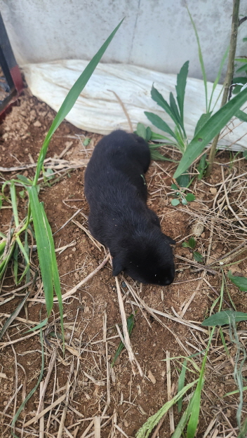 익산유기동물보호소_445468202402222