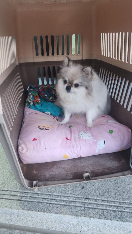 익산유기동물보호소_445468202402224