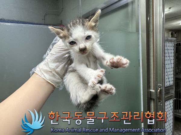 종료(자연사) 한국…