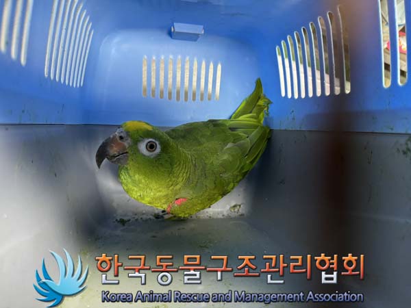 한국동물구조관리협회_411323202400875