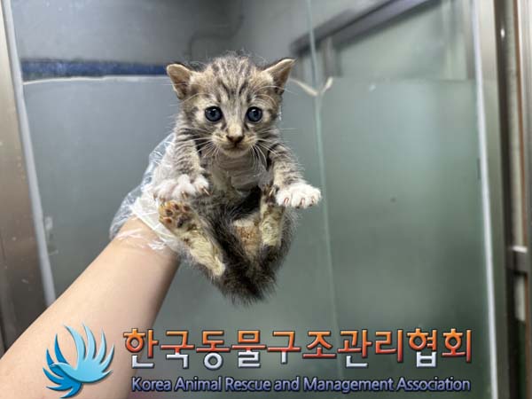 종료(자연사) 한국…