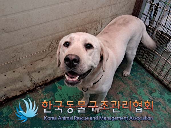 한국동물구조관리협회_441559202400909