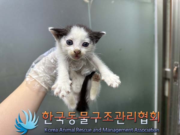 종료(자연사) 한국…