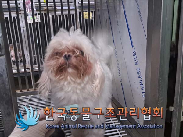 한국동물구조관리협회_411309202400250