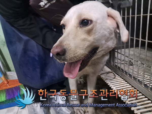 한국동물구조관리협회_441392202400236