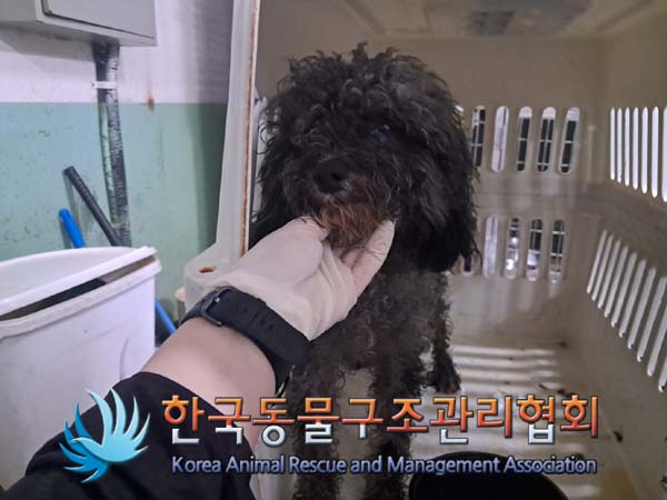 한국동물구조관리협회_441560202400972