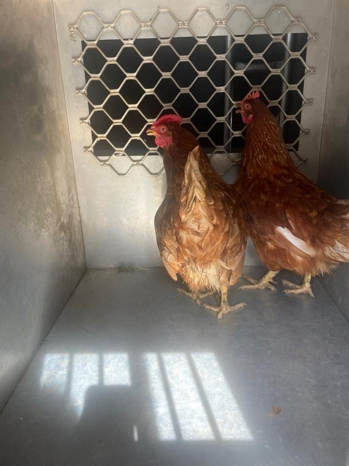 제주에니멀119(주)_450651202401999