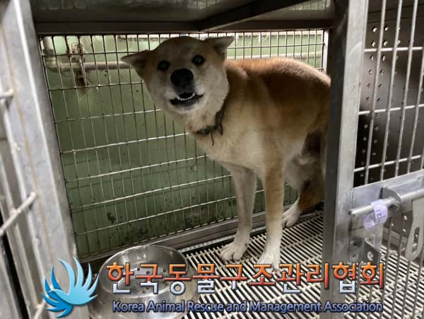 한국동물구조관리협회_441409202401270