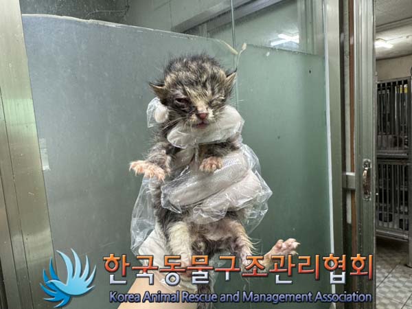한국동물구조관리협회_441559202400915