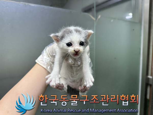 종료(자연사) 한국…