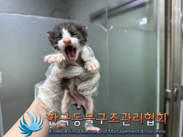 한국동물구조관리협회_441559202400913