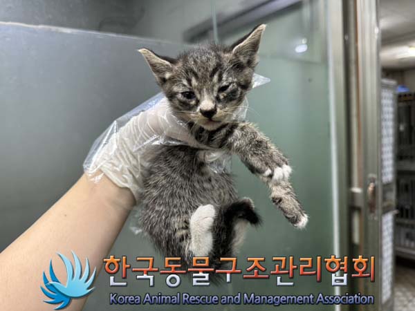 종료(자연사) 한국…
