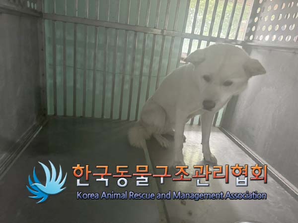 한국동물구조관리협회_441414202400635