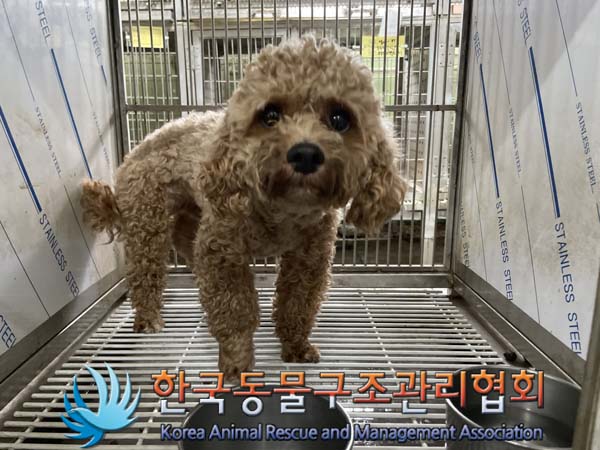 한국동물구조관리협회_441560202400975
