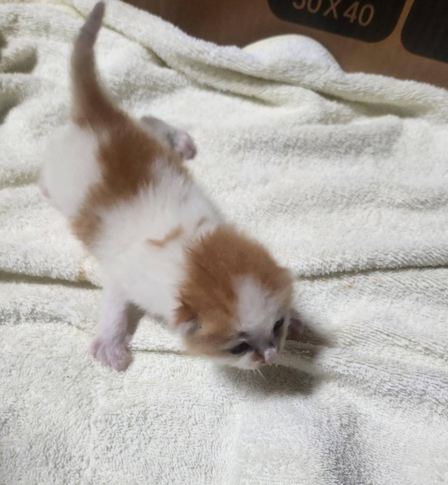 울산유기동물보호센터_431373202401145