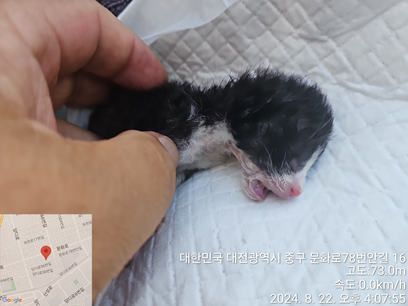 대전동물보호센터_430365202400355