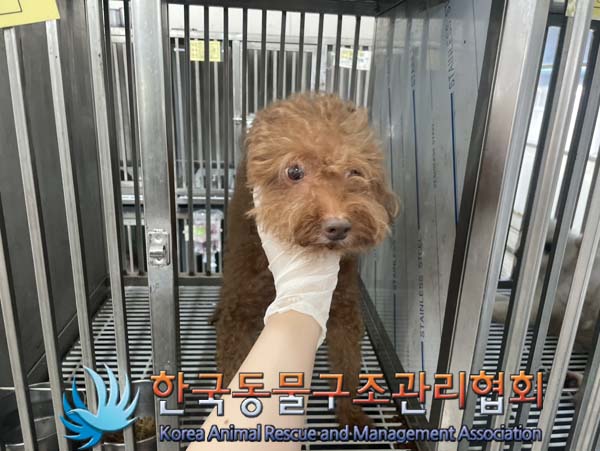 한국동물구조관리협회_411306202400643