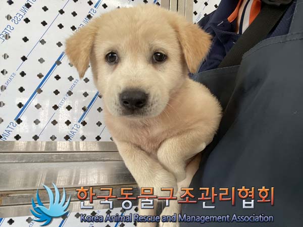 한국동물구조관리협회_441404202400440