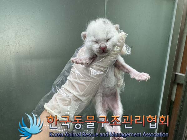 한국동물구조관리협회_411323202400881
