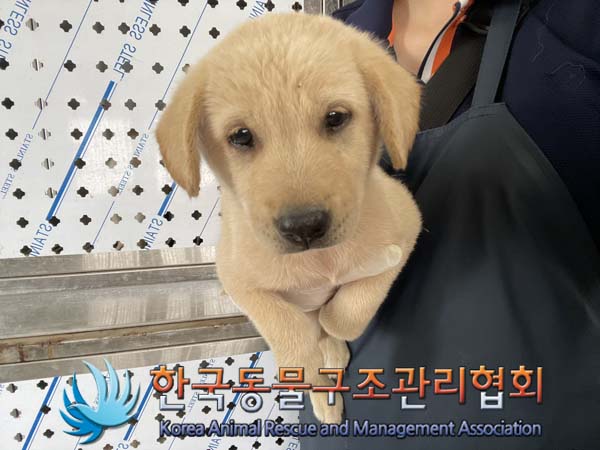 한국동물구조관리협회_441404202400441