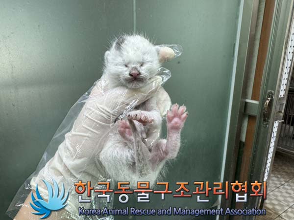 종료(자연사) 한국…