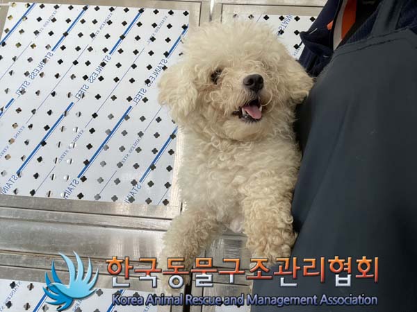 한국동물구조관리협회_441382202400659
