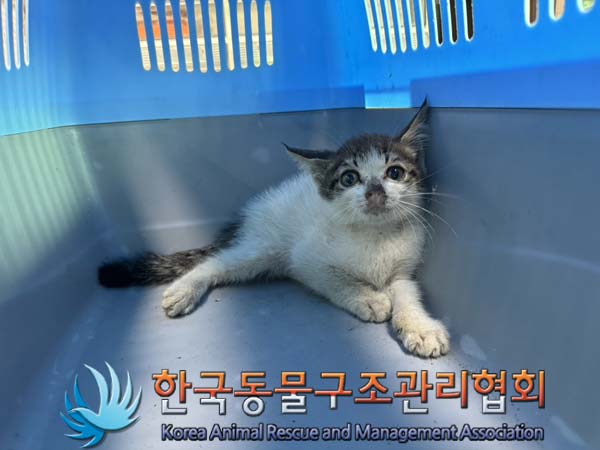 종료(자연사) 한국…