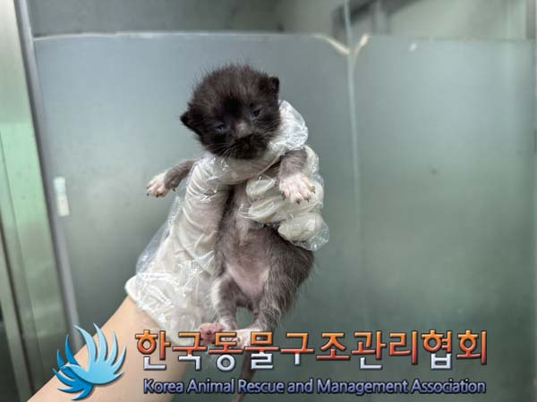 종료(자연사) 한국…