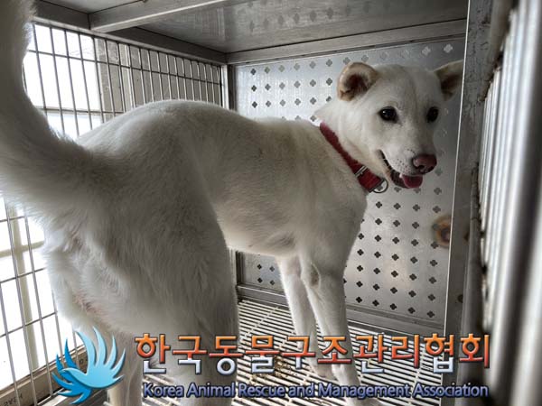 한국동물구조관리협회_411300202400355