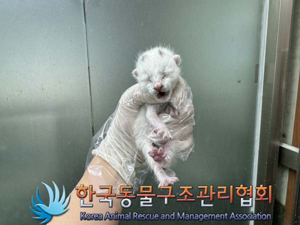 한국동물구조관리협회_411323202400882