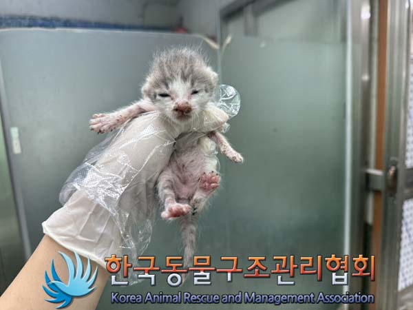 한국동물구조관리협회_441560202400985