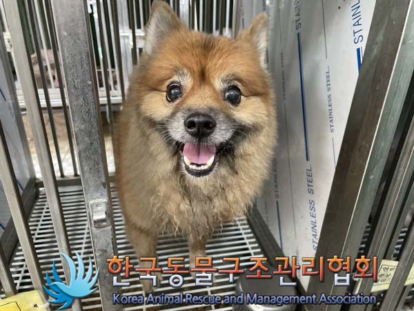 한국동물구조관리협회_411318202400267