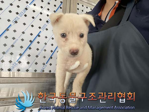 한국동물구조관리협회_441404202400442