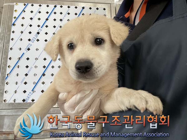 한국동물구조관리협회_441404202400439