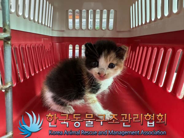 한국동물구조관리협회_441406202401372