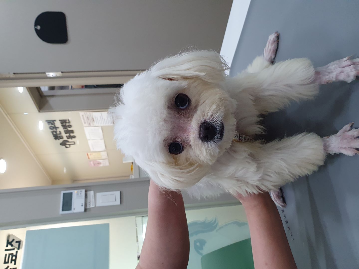 첨단우리동물병원_429363202400875