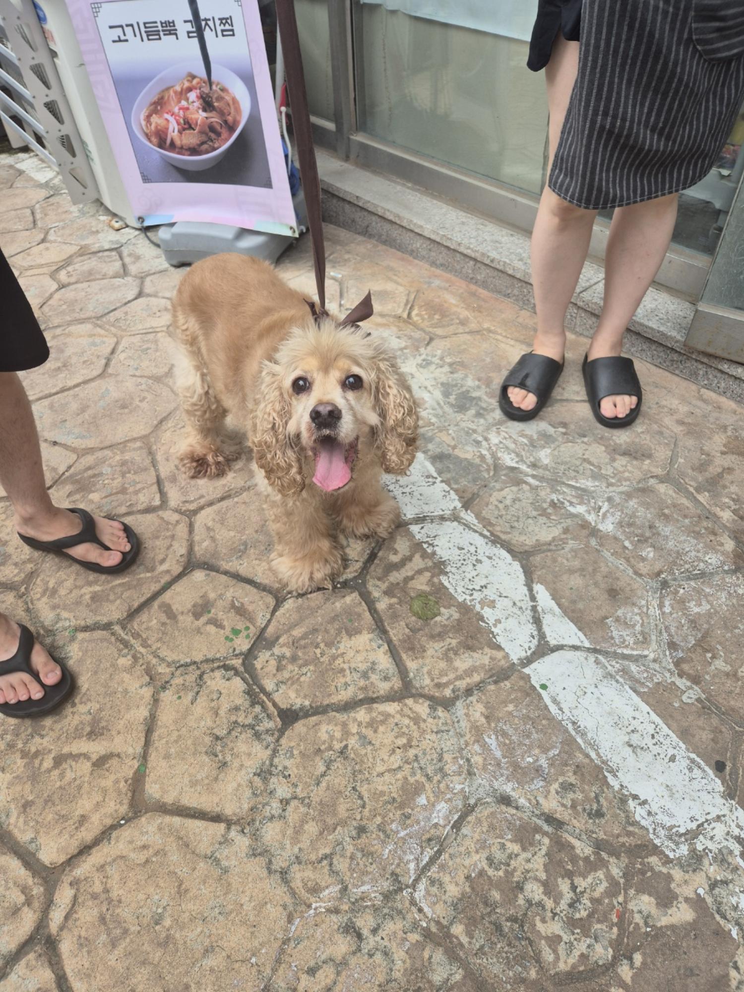 우리동물병원_428356202401439