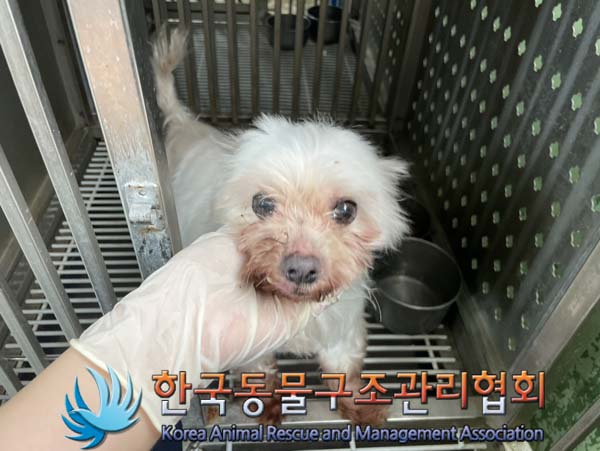 한국동물구조관리협회_441404202400444