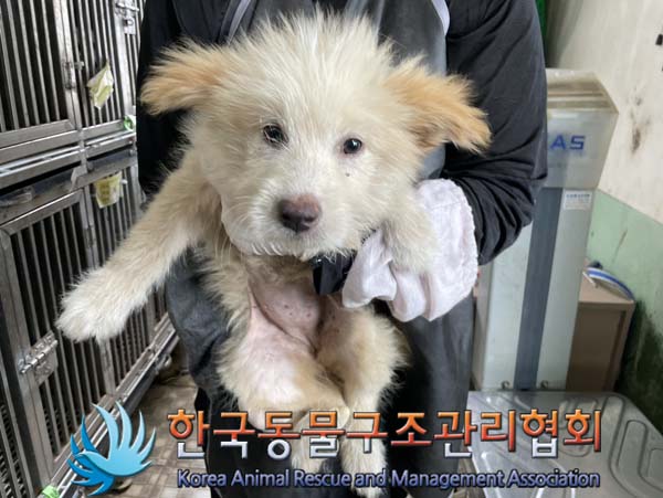 종료(자연사) 믹스…
