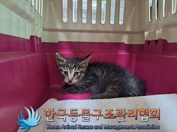 종료(자연사) 한국…