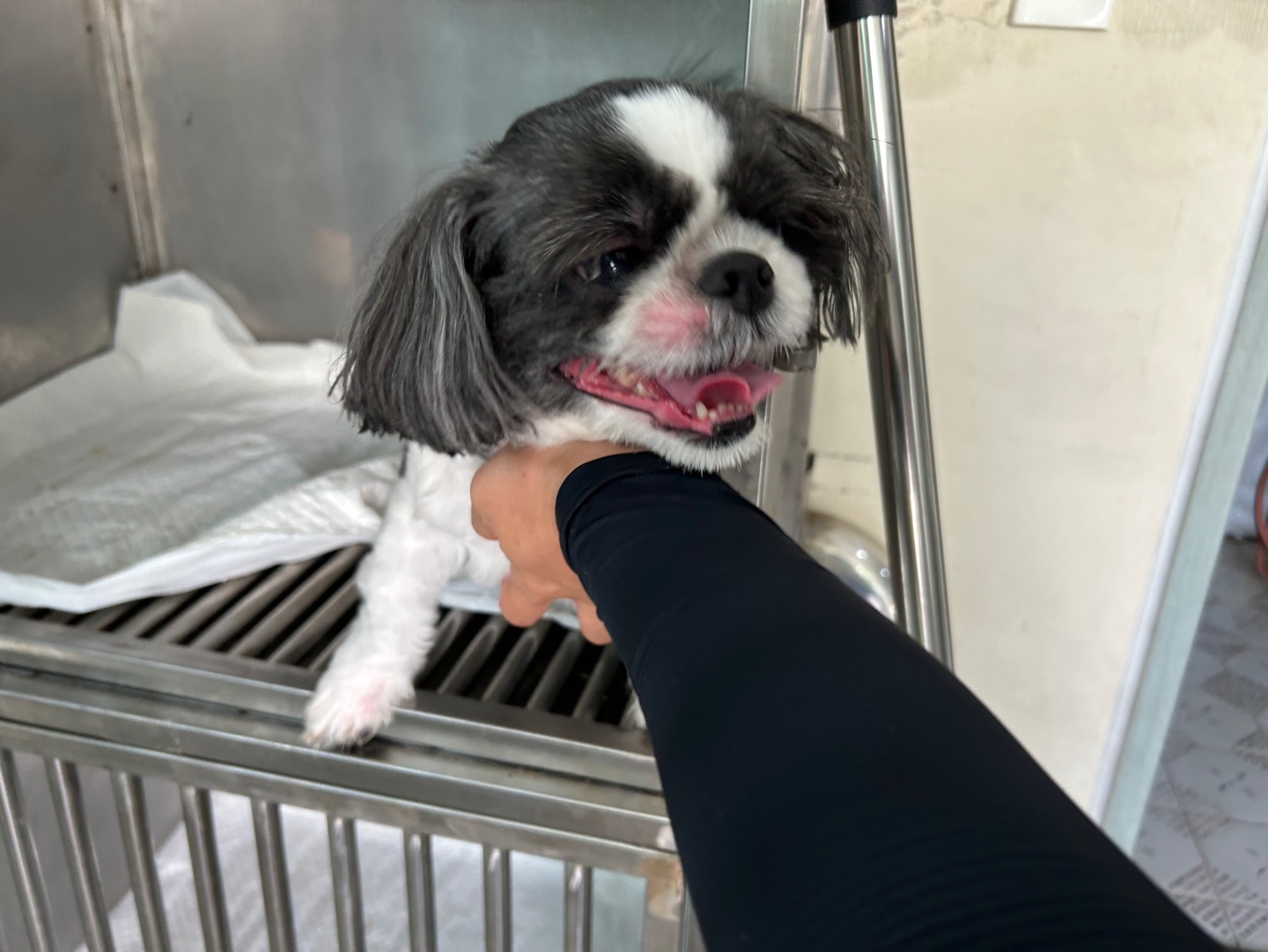 광주 동물보호소_429362202400756