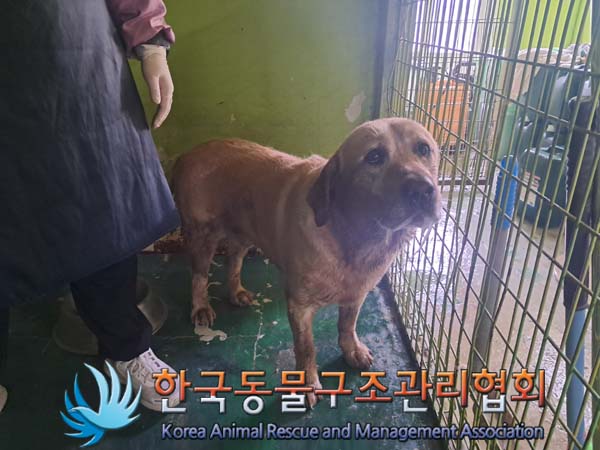 한국동물구조관리협회_441560202401007