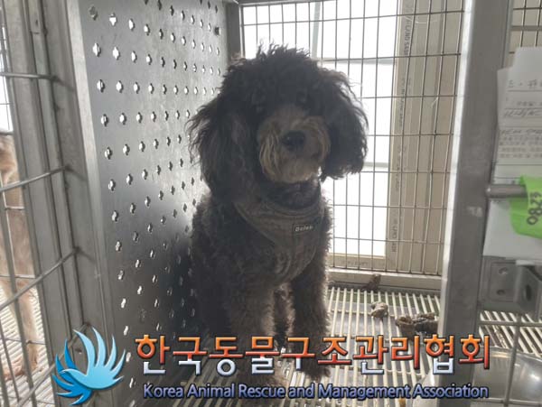 한국동물구조관리협회_441414202400636