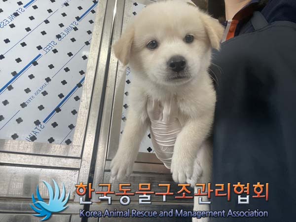 한국동물구조관리협회_411307202400423