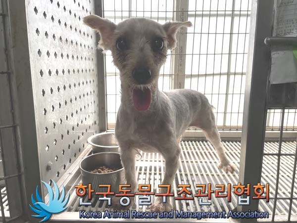 한국동물구조관리협회_441392202400240
