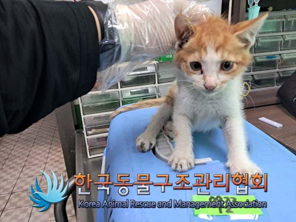 종료(자연사) 한국…